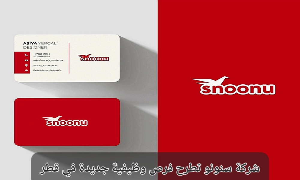 وظائف شركة سنونو في قطر