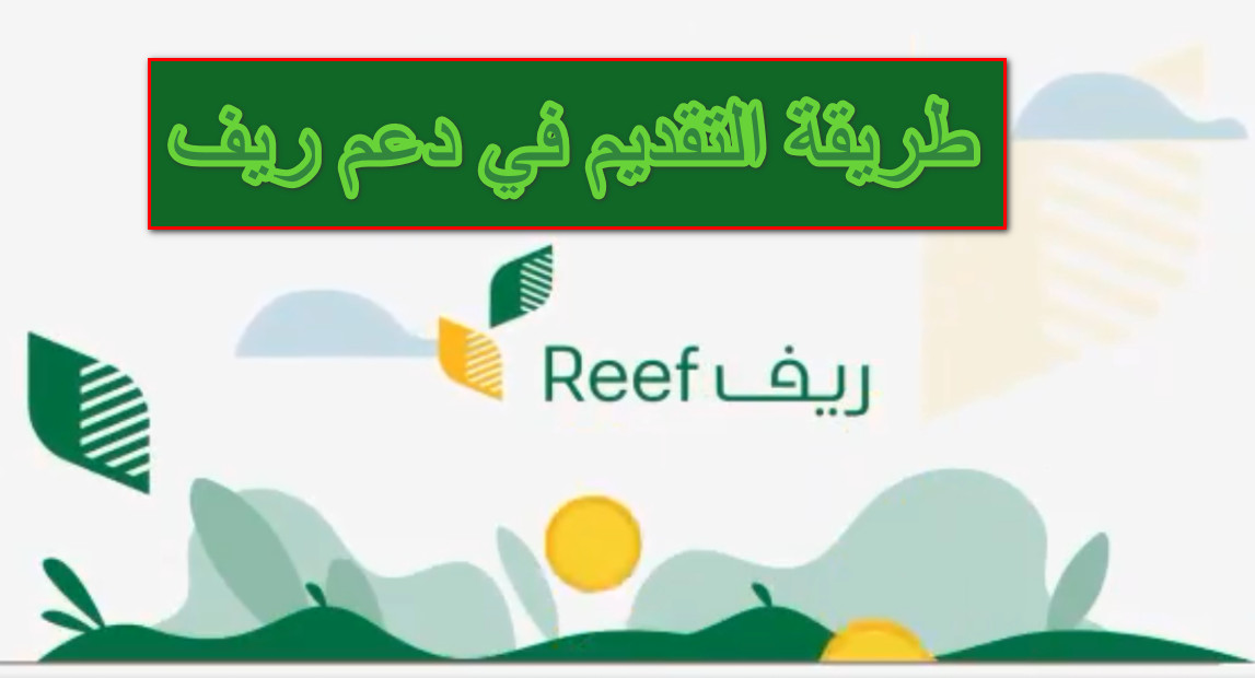 طريقة التقديم في دعم ريف