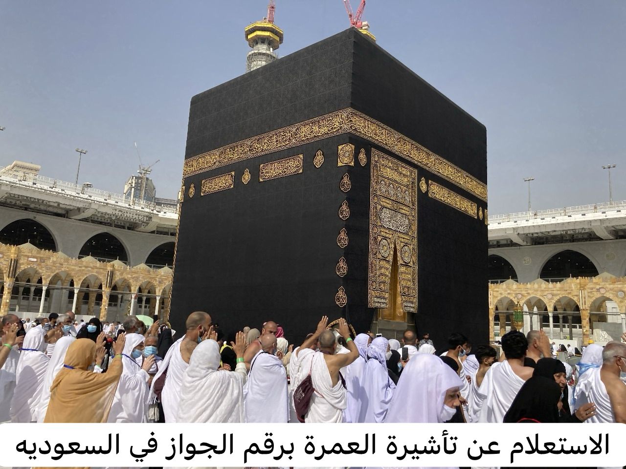 الاستعلام عن تأشيرة العمرة برقم الجواز