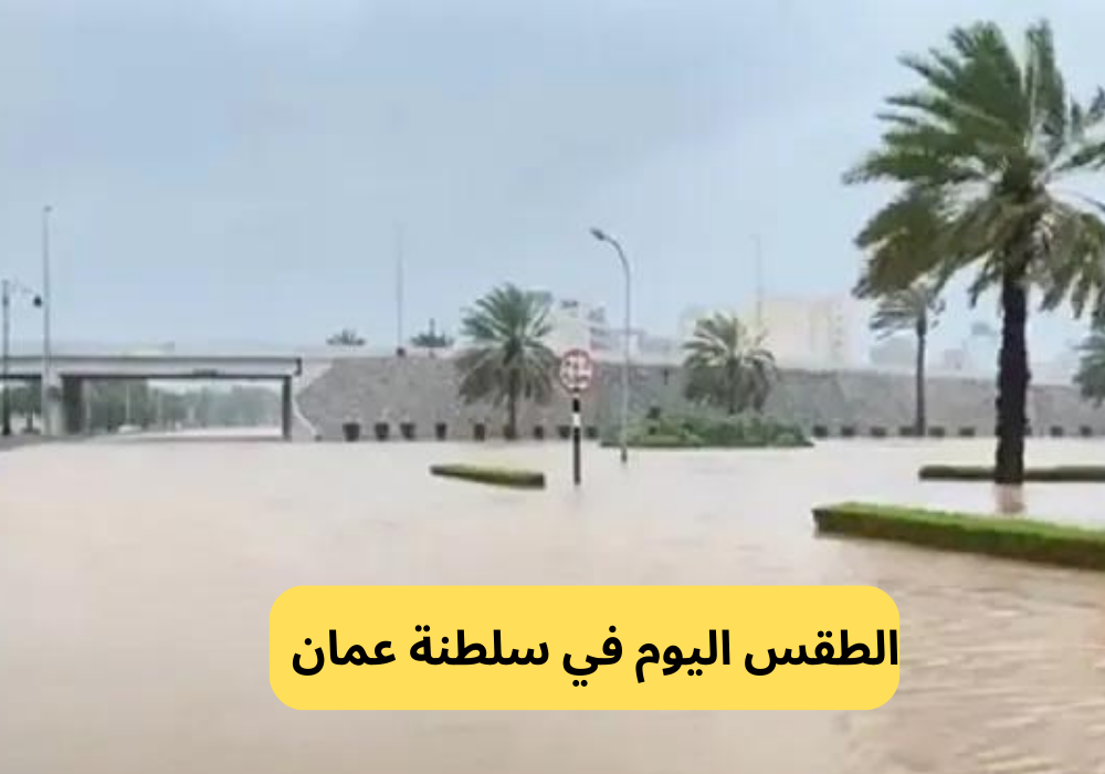 منخفض الهدير