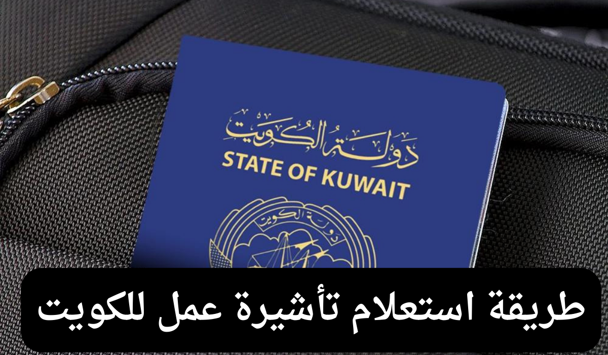 استعلام تاشيرة عمل 