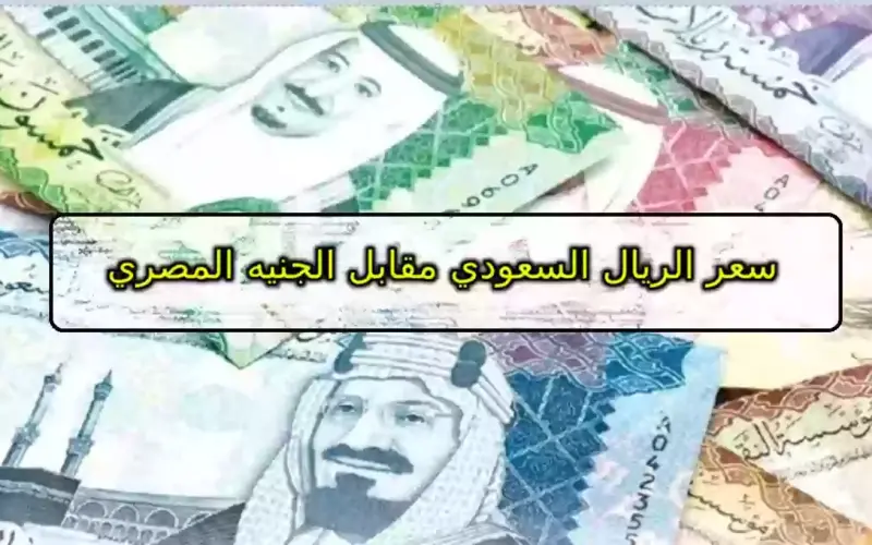 سعر الريال السعودي مقابل الجنيه المصري 