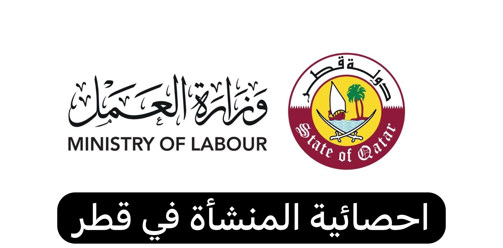 احصائية المنشأة