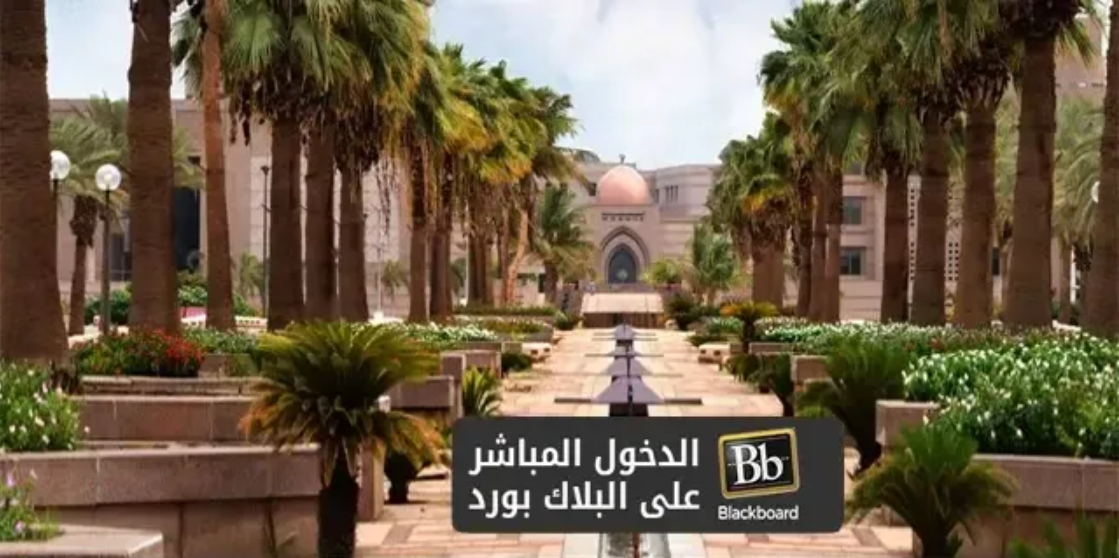 بلاك بورد جامعة الملك عبد العزيز