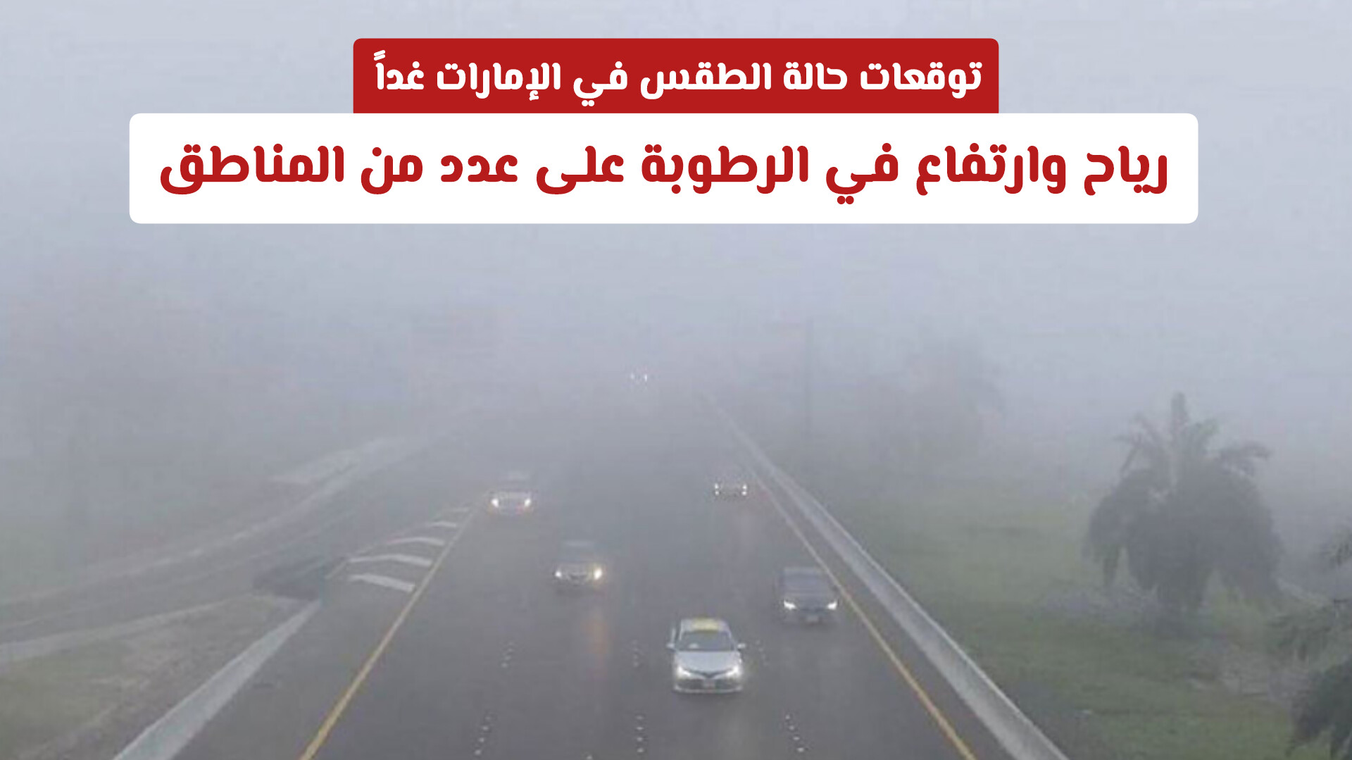توقعات حالة الطقس في الإمارات غداً  .. رياح وضباب وارتفاع في الرطوبة على عدد من المناطق