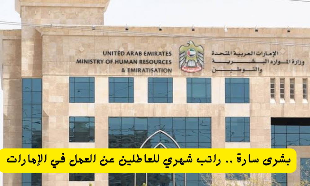 راتب شهري للعاطلين في الإمارات