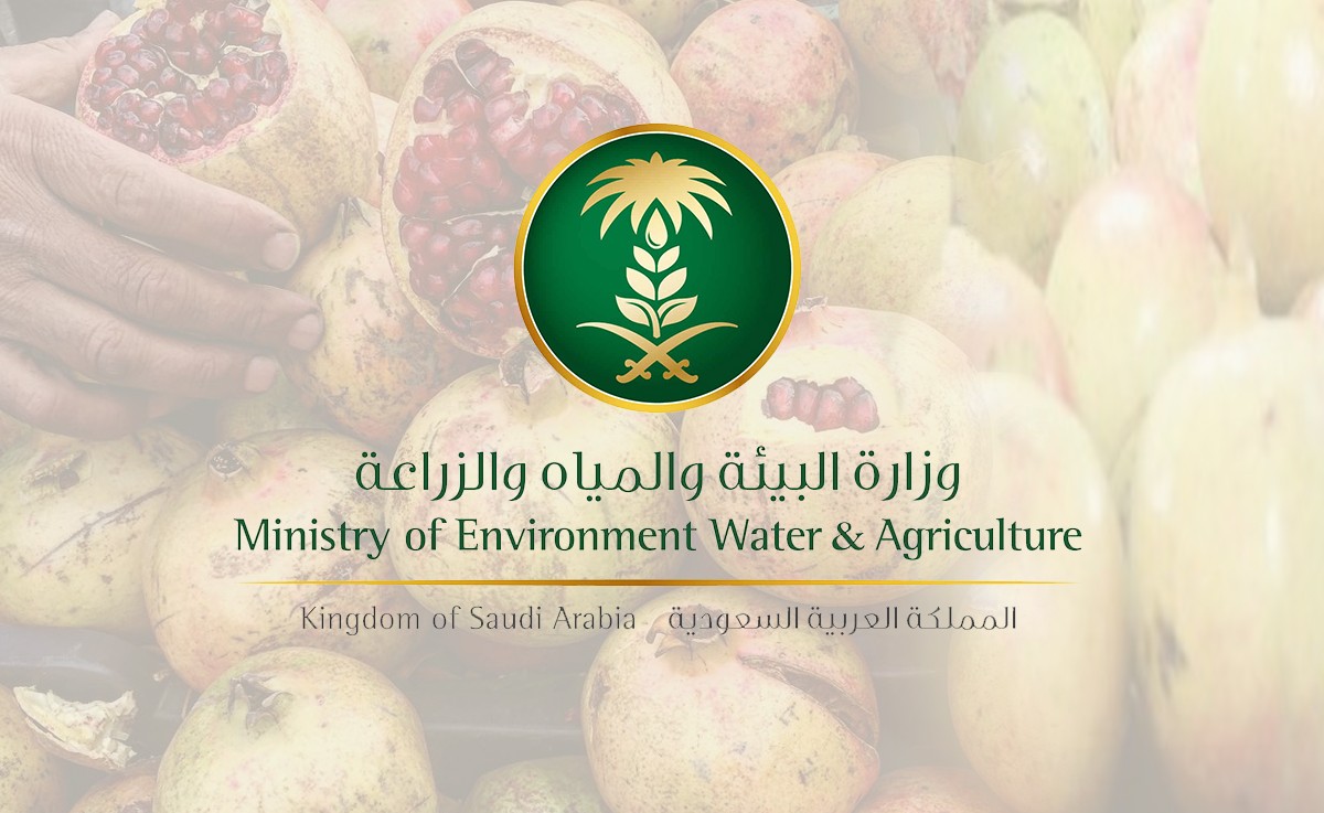 تحديث دعم صغار مربي الماشية 