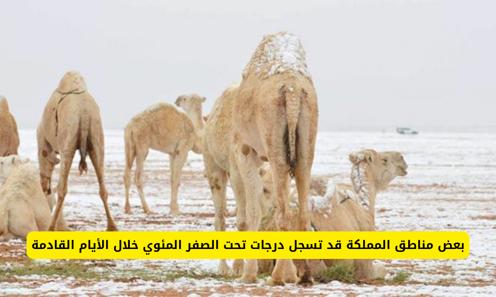 الطقس في السعودية