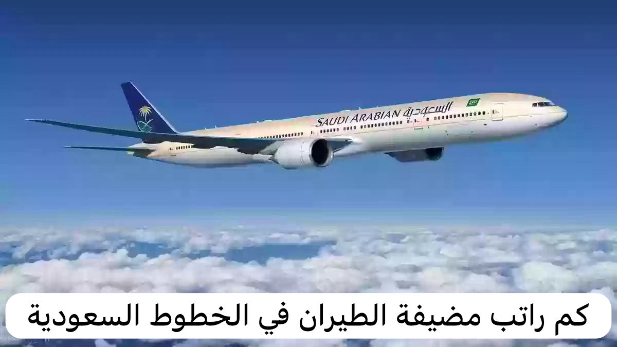 راتب مضيفة الطيران