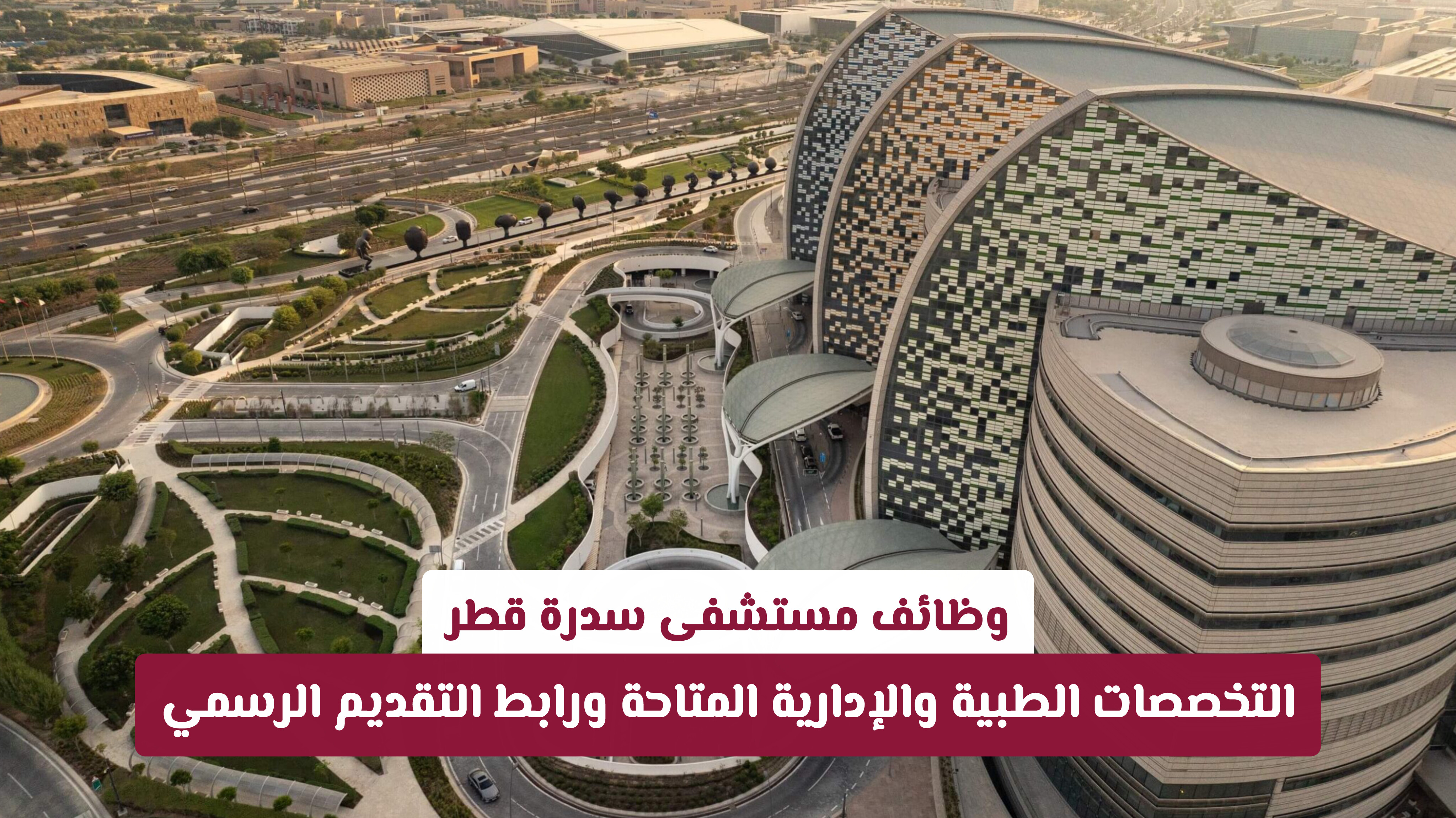 وظائف مستشفى سدرة قطر | التخصصات الطبية والإدارية المتاحة ورابط التقديم الرسمي