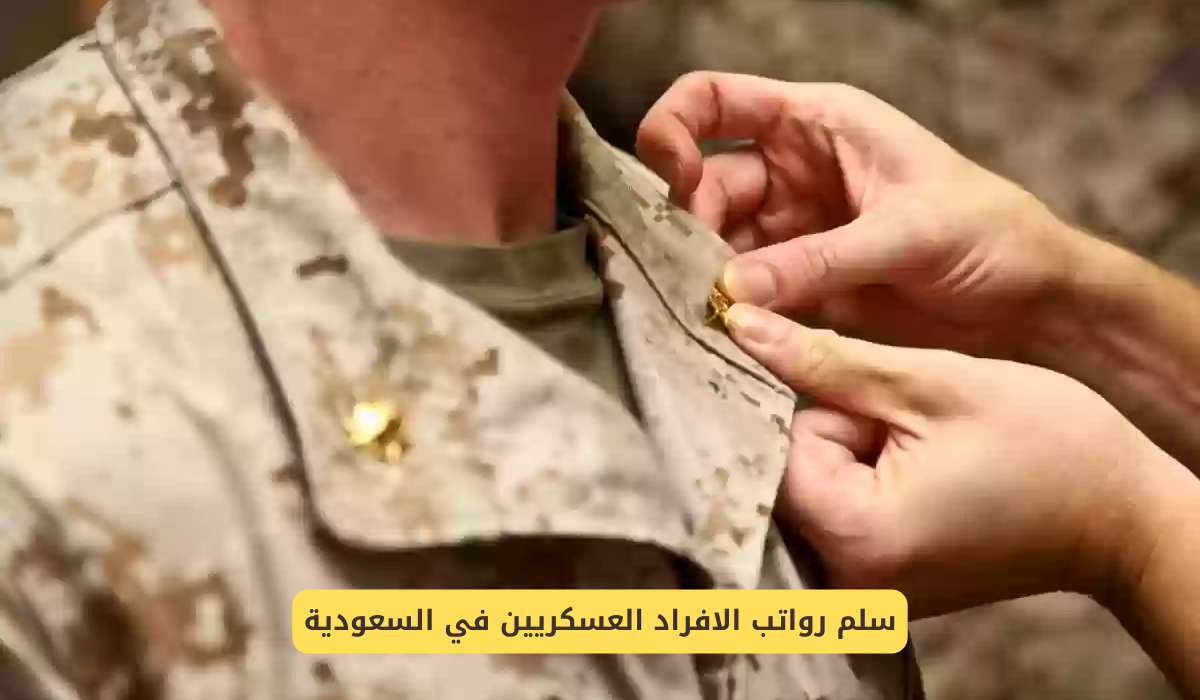 سلم رواتب الافراد