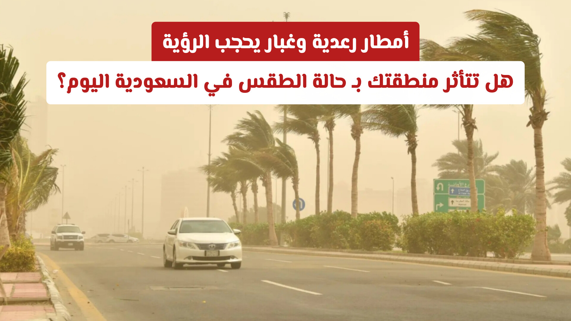 أمطار رعدية وغبار يحجب الرؤية.. هل تتأثر منطقتك بـ حالة الطقس في السعودية اليوم؟