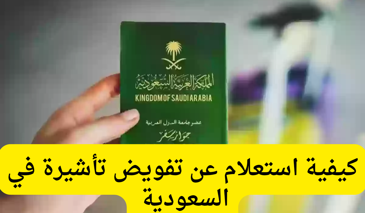 استعلام عن تفويض تأشيرة 