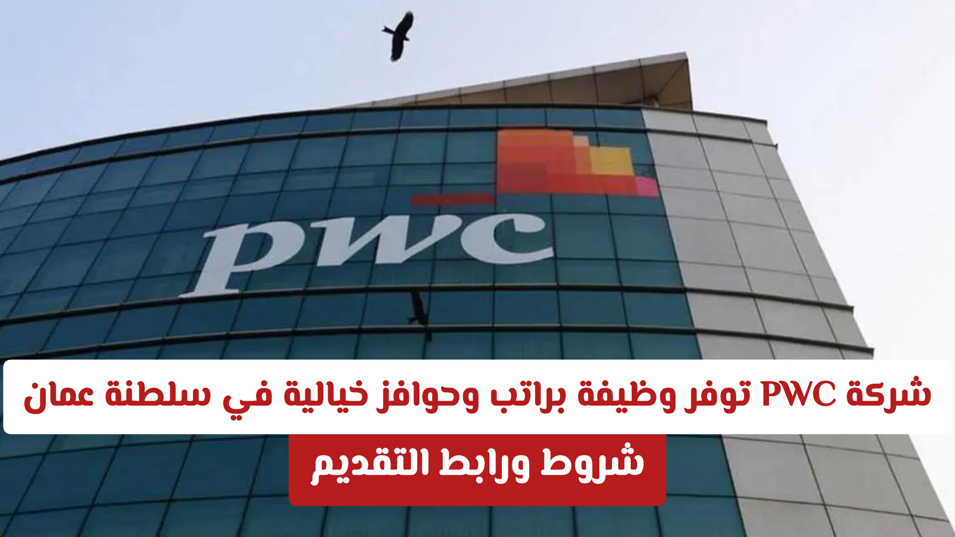 شركة PWC توفر وظيفة براتب وحوافز خيالية في سلطنة عمان للرجال والنساء .. شروط وطريقة التقديم