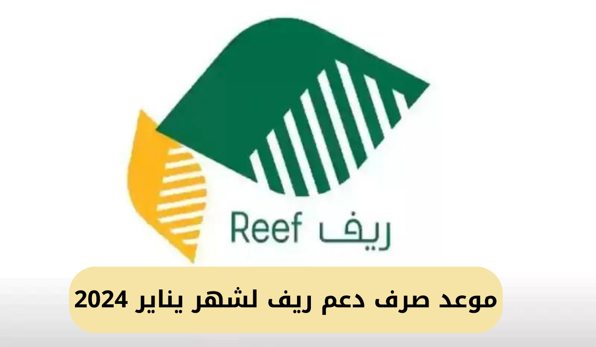 موعد صرف دعم ريف لشهر يناير