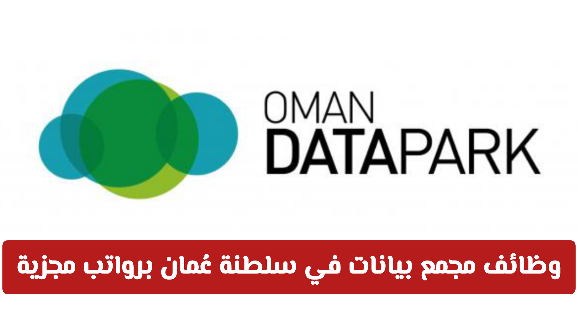 وظائف مجمع بيانات في سلطنة عُمان برواتب مجزية | لا تفوّت التقديم