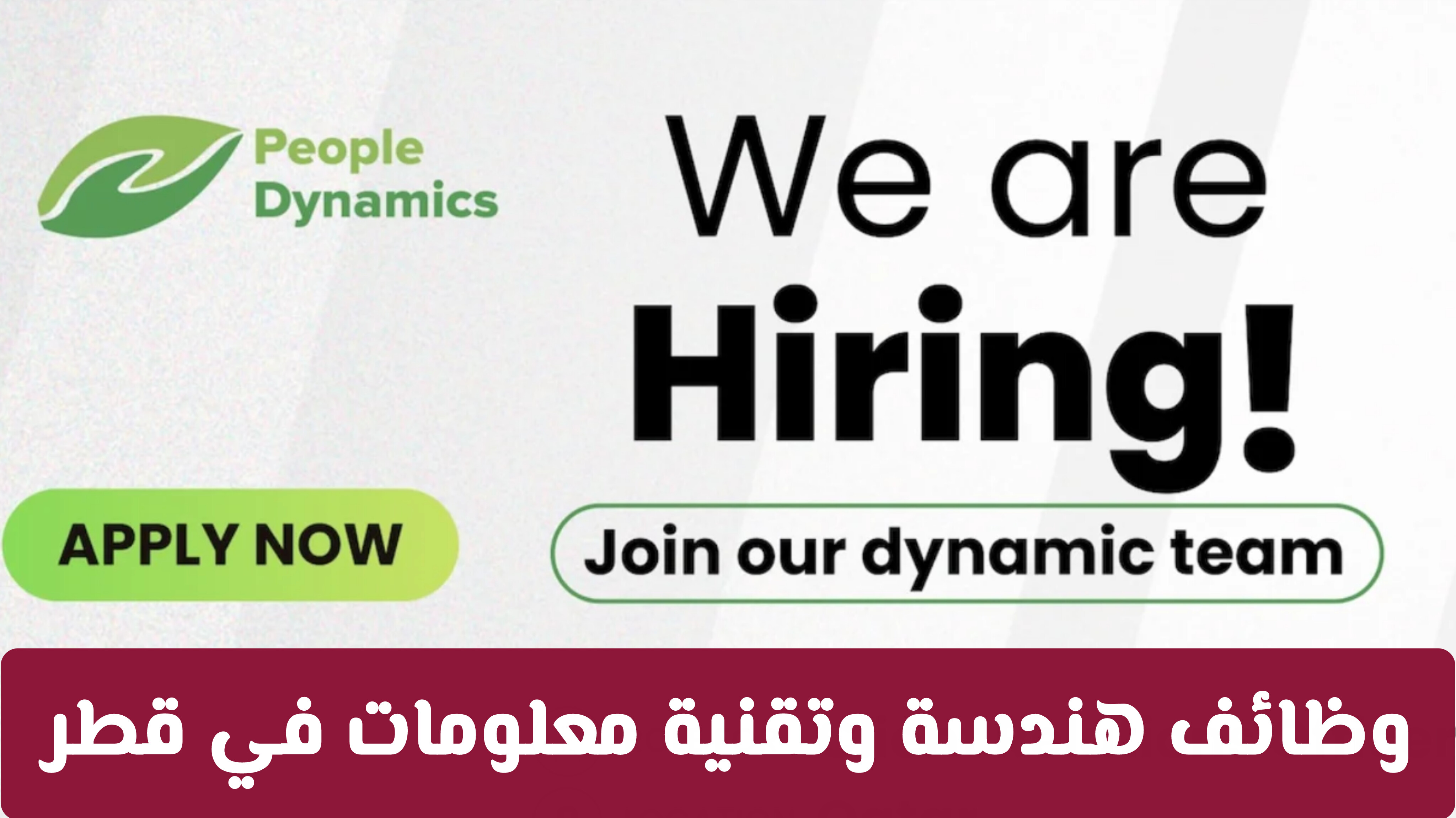 وظائف هندسة وتقنية معلومات في People Dynamics قطر: التخصصات المطلوبة الشروط وطريقة التقديم