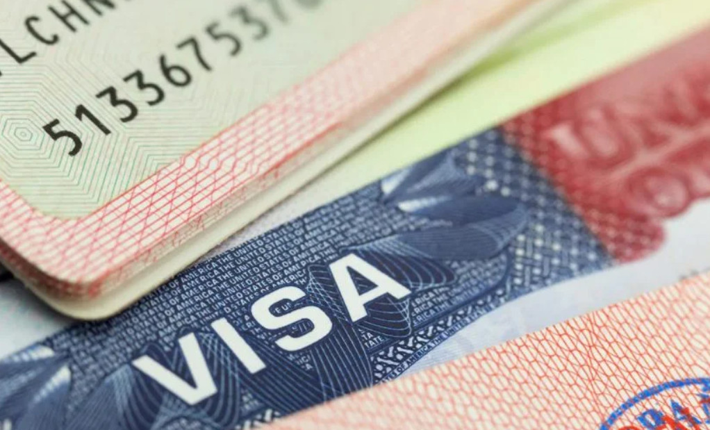 منصه خدمات التاشيرات برقم الجواز