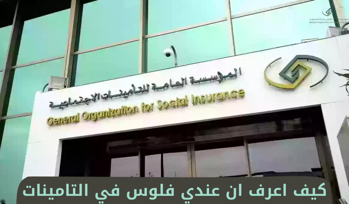 كيف اعرف ان عندي فلوس في التامينات
