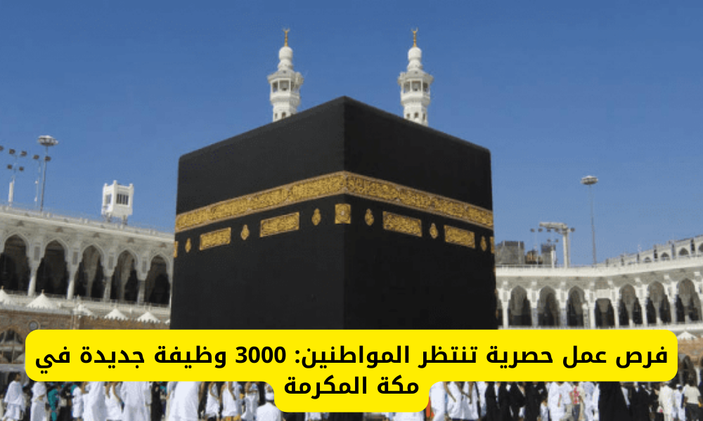 فرص عمل خالية