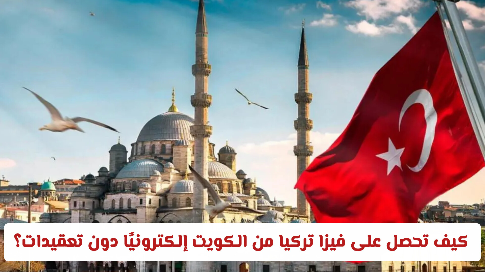 فيزا تركيا من الكويت