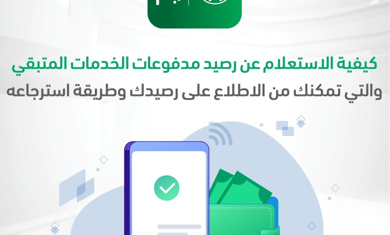 الاستعلام عن رصيد المدفوعات