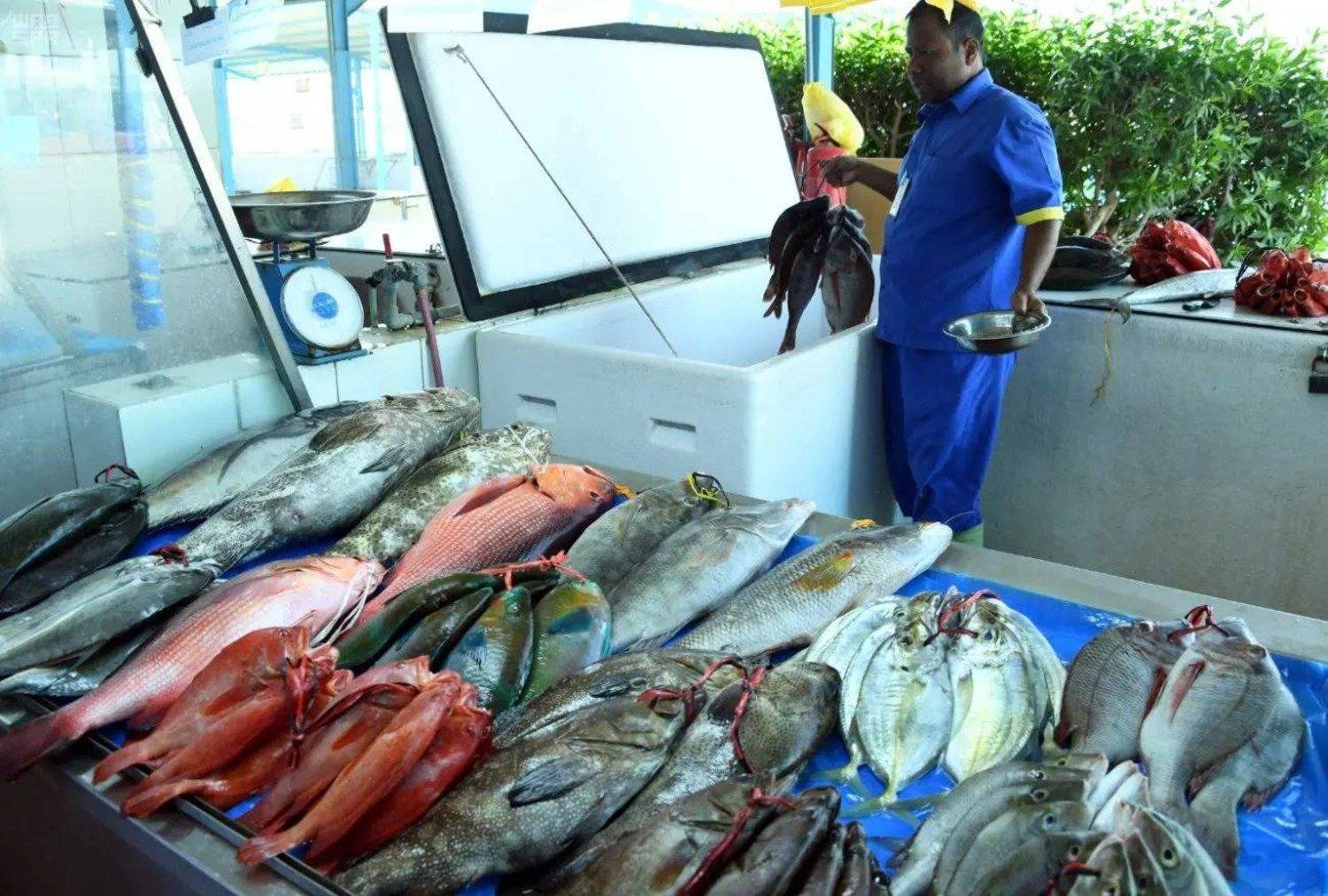 دعم صيدي الأسماك