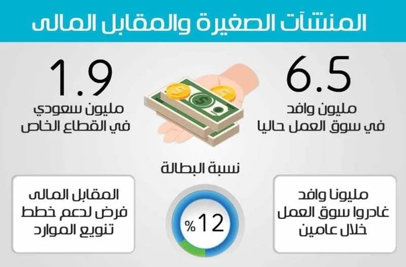 المنشآت الصغيرة