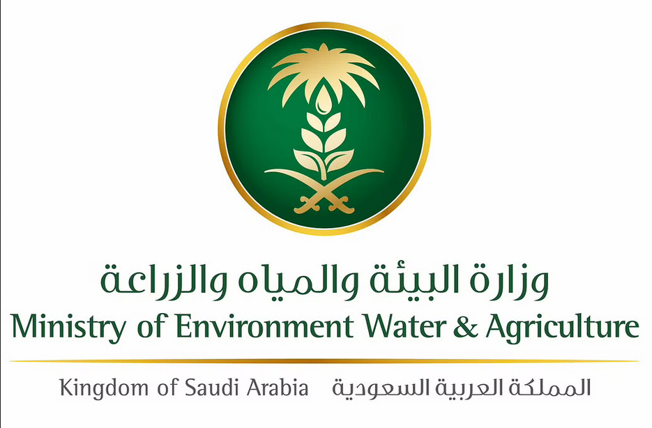 كيفية تصحيح وضع بئر قائم بدون رقم صك