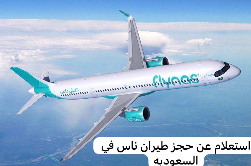 استعلام عن حجز طيران ناس