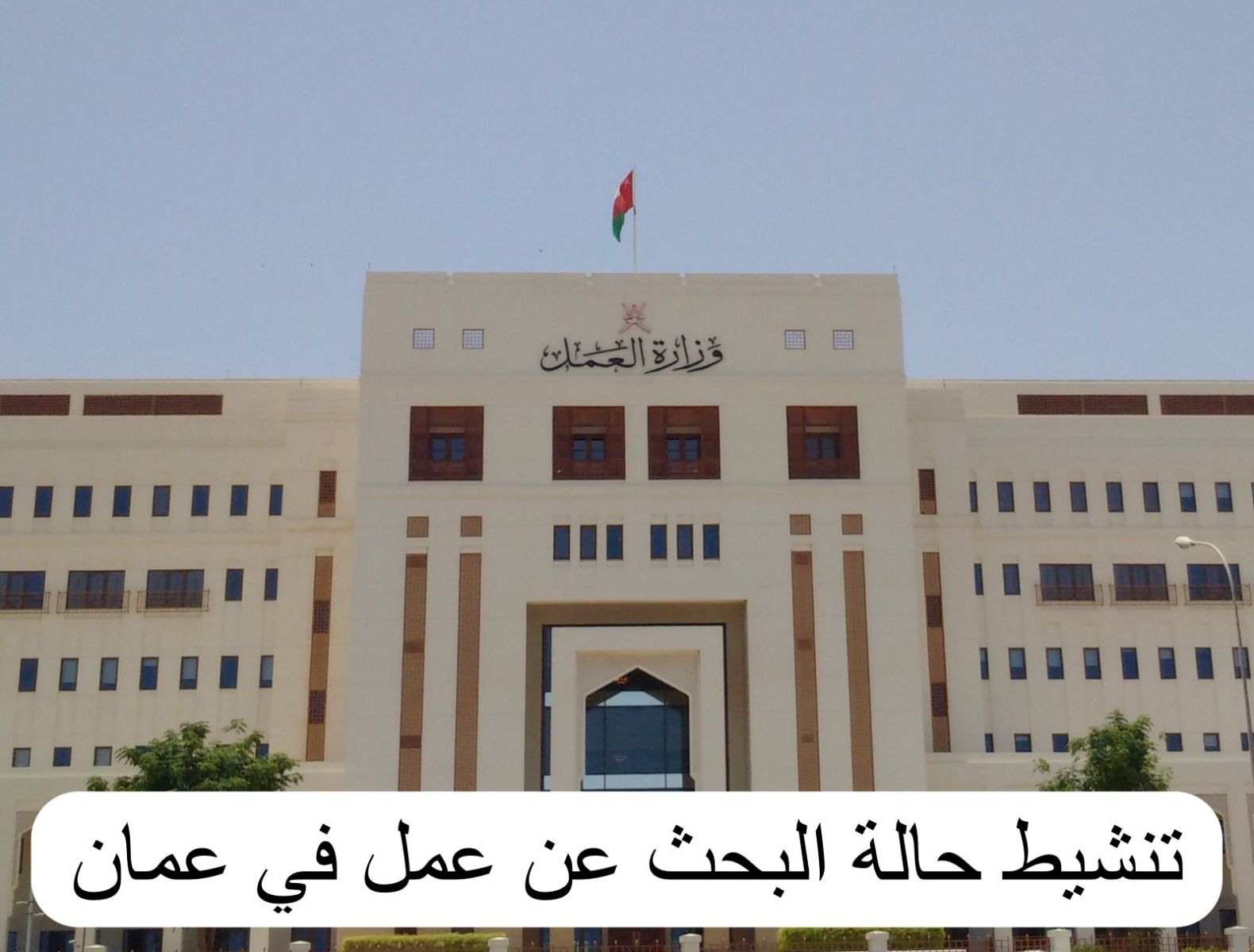 رقم تنشيط باحث عن عمل،