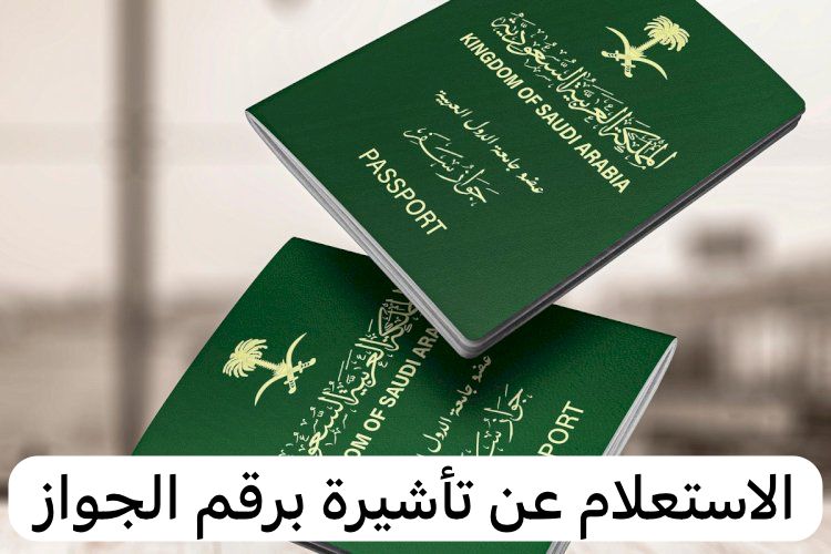 الاستعلام عن تأشيرة برقم الجواز