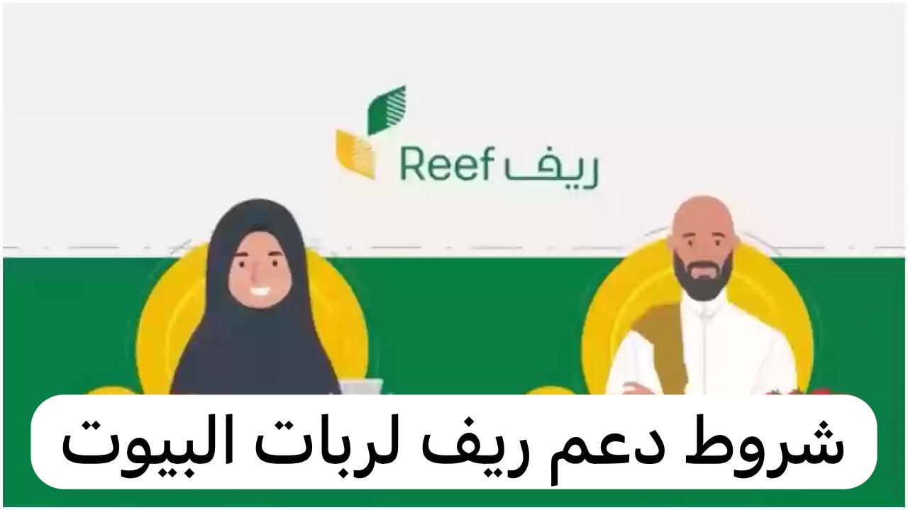 شروط دعم ريف لربات البيوت