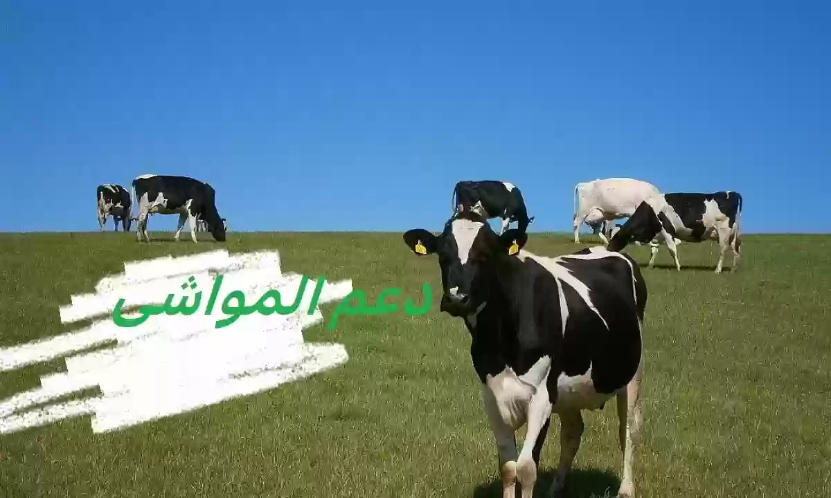 استعلام عن دعم المواشي