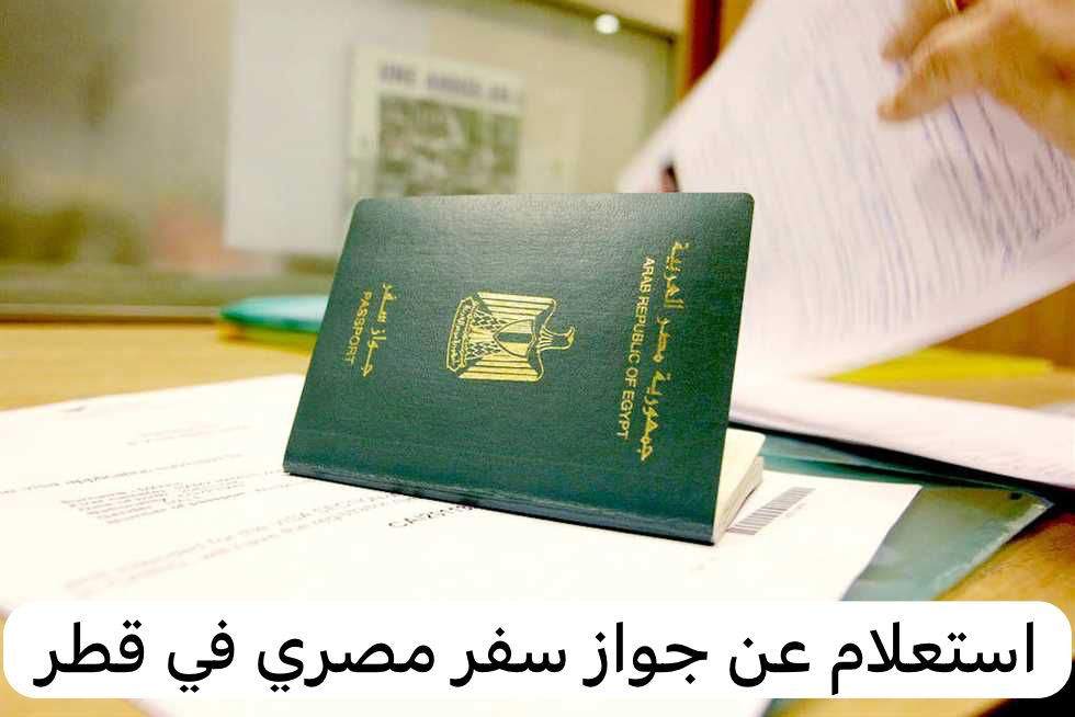استعلام عن جواز سفر مصري