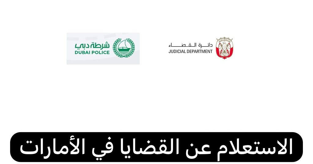 الاستعلام عن القضايا