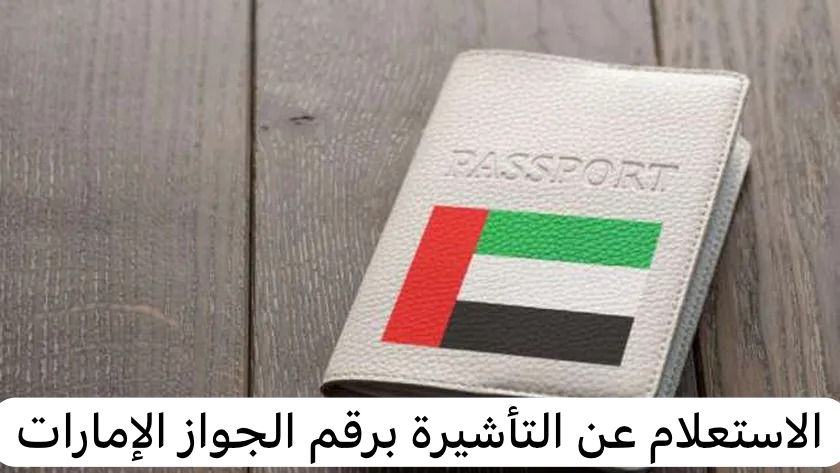الاستعلام عن التأشيرة برقم الجواز الإمارات