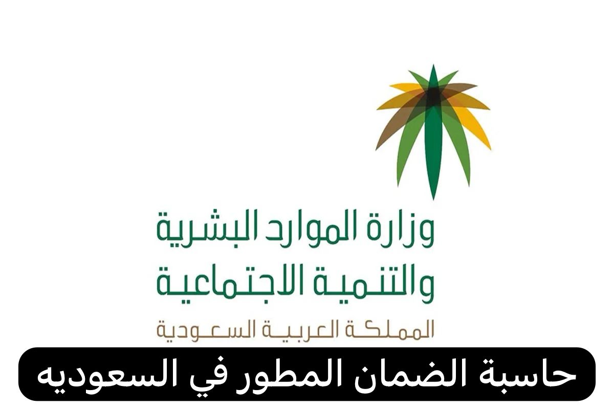 حاسبة الضمان المطور