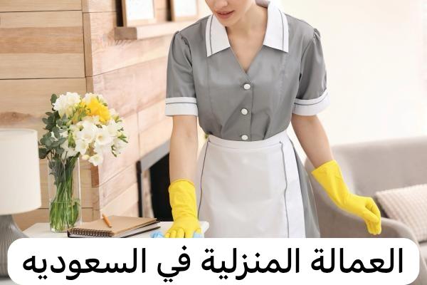 العمالة المنزلية