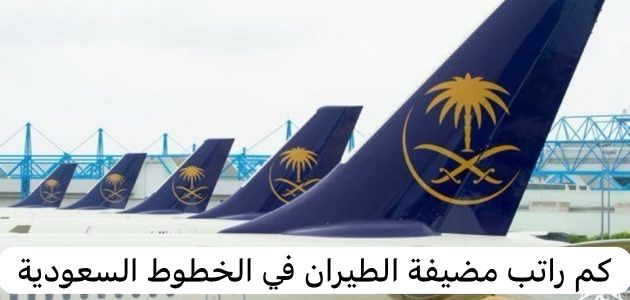 راتب مضيفة الطيران