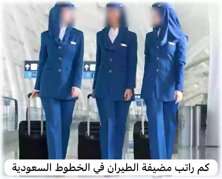 راتب مضيفة الطيران