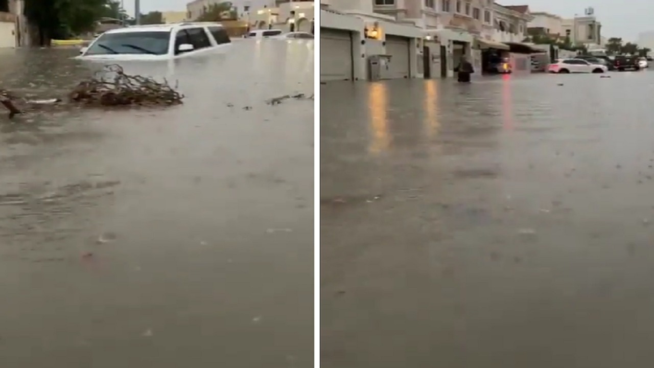 منخفض الهدير