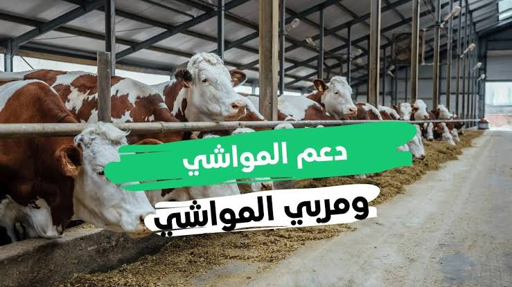 متى ينزل دعم صغار مربي الماشية
